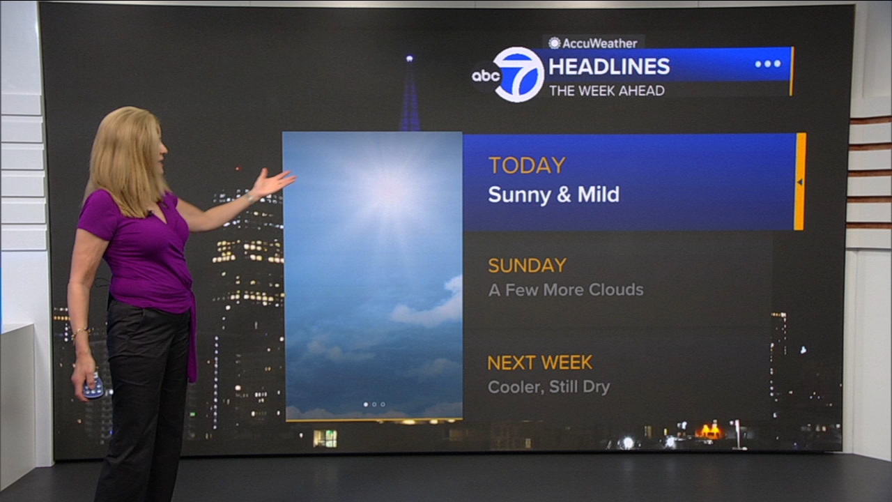 AccuWeather Forecast: Sunny and mild
— ABC 7 Bay Area, McKinney Community news