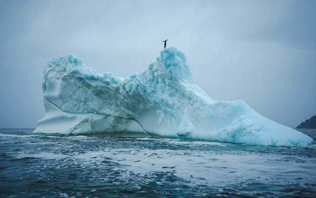 Cliff diver Molly Carson makes history, becomes first woman to dive off iceberg — WPBF Sports Palm Beach, McKinney Sports news