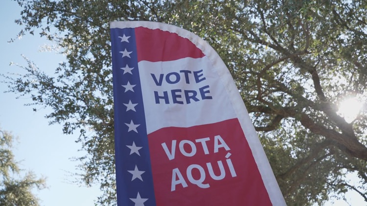 A bustling polling station in McKinney during early voting.